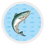 Разработка интерактивного html5-баннера для рыболовного магазина
